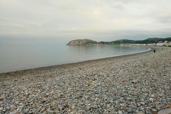 Zum Urlaub nach Cornwall - Llandudno Nordküste Wales - Zebraspider DIY Anti-Fashion Blog