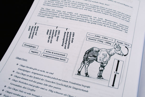 Okapi_Riot - Fanzine Vorstellung - warum Okapi? - Zebraspider DIY Anti-Fashion Blog