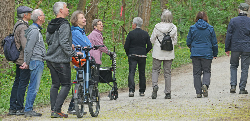 Bild: Teilnehmende des Vogelkundlichen Spaziergangs; Foto: Dr. Thomas Gölzer