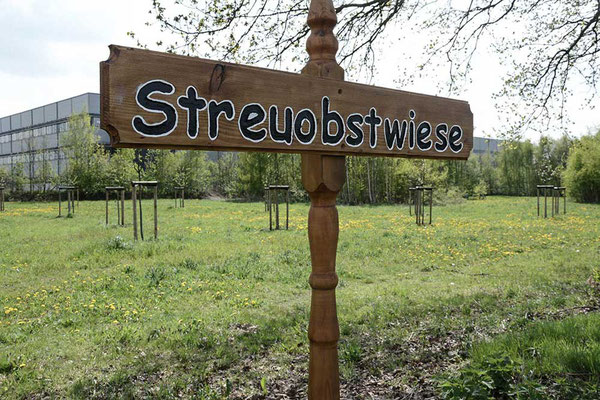 Streuobstwiese an der Brummerei