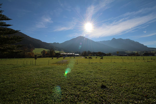 Heuberg @ STOABEATZ Festival Walchsee Tirol