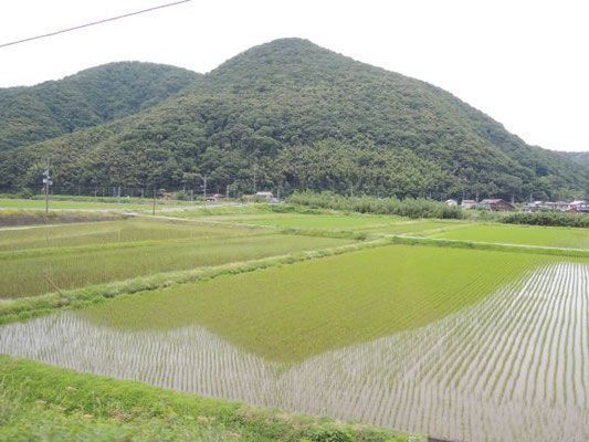 津和野/Tsuwano