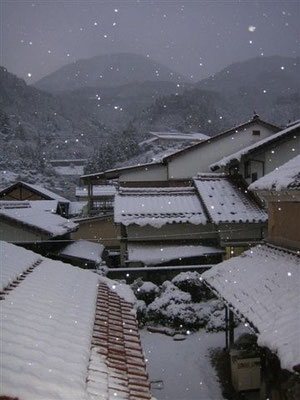 裏庭（土蔵）と青野山