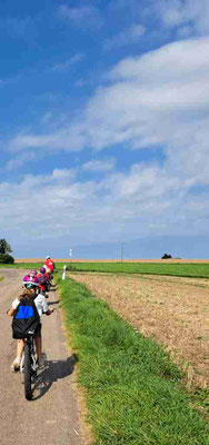 Perfektes Fahrradwetter. 