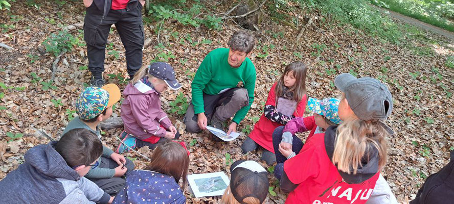 Steffen veranschaulicht den Kindern anhand von Bildern Sachwissen über den Luchs