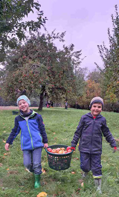 Sebastian und Emilio tragen die Körbe zum umfüllen