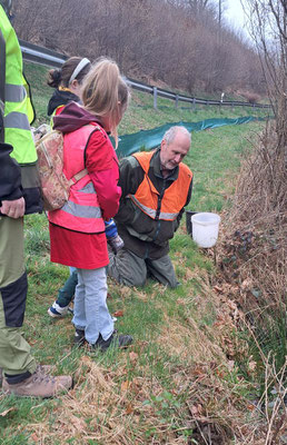 6 Vorsichtig setzt Herr Braun die Kröten in den Weiher