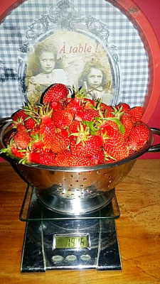 Cueillette de fraises pour vos confitures