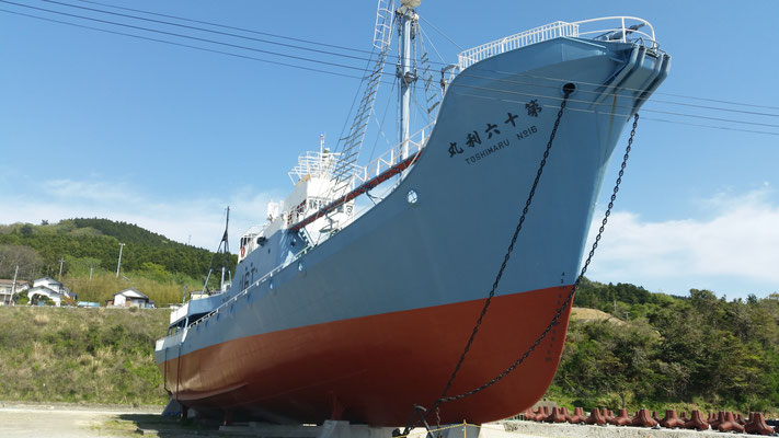 宮城県鮎川港に展示されている捕鯨船「第十六利丸」を撮影。近くでみると大迫力です（県連書記局）