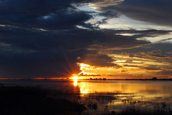 Chobe Game Reserva,Botswana
