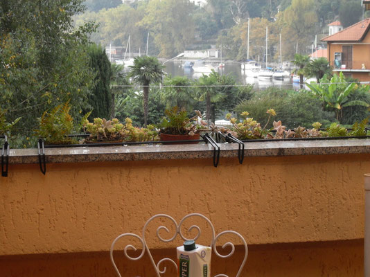 Terrasse mit Tisch und Stühlen