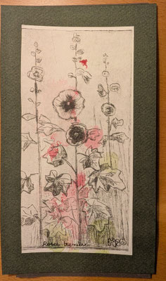 Marie PAUMIER - Roses trémières - gravure sur tetrapack -20€ - Copie