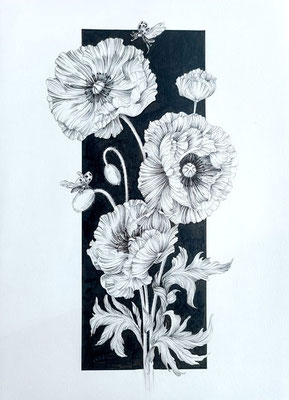 C.JELJOUL_Abstraction florale, coquelicots_Encre sur papier_A3_275€
