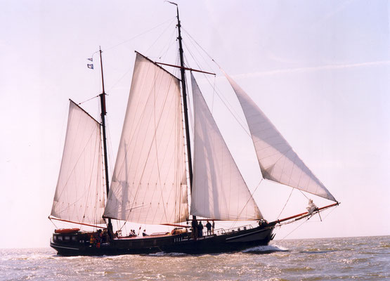 sail ship Frans Horjus