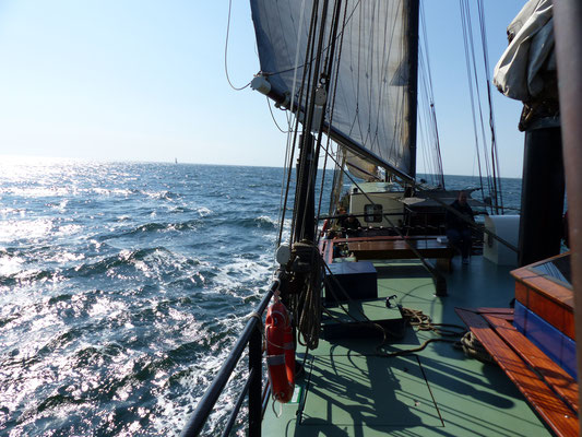 sail ship Noorderlicht