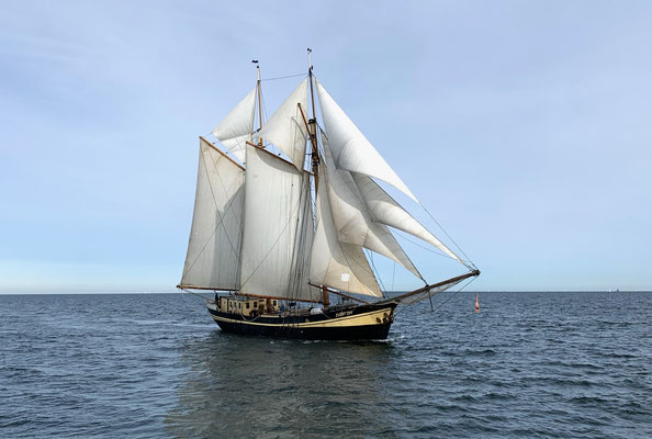 sail ship Zuiderzee