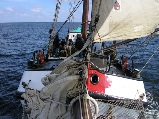 sail ship Larus