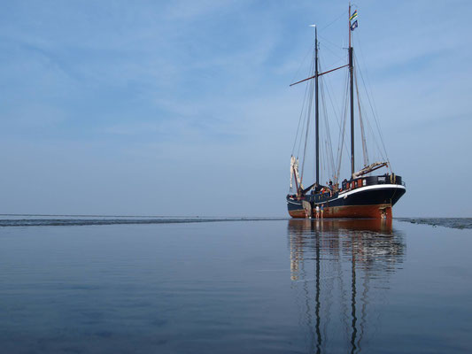 sail ship Frans Horjus