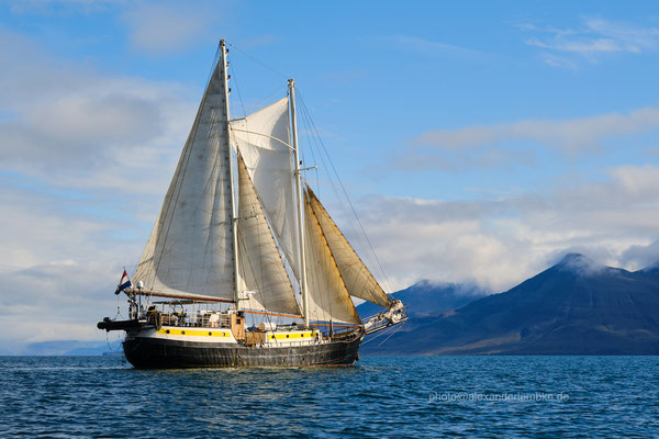 sail ship Meander