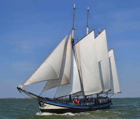 sail ship Grootvorst