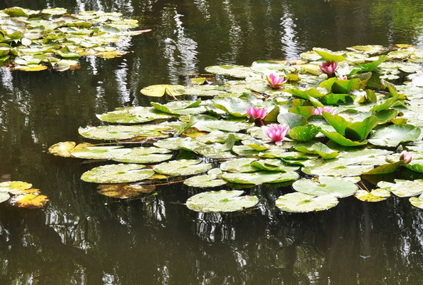 Garten des Malers Claude Monet in Giverny