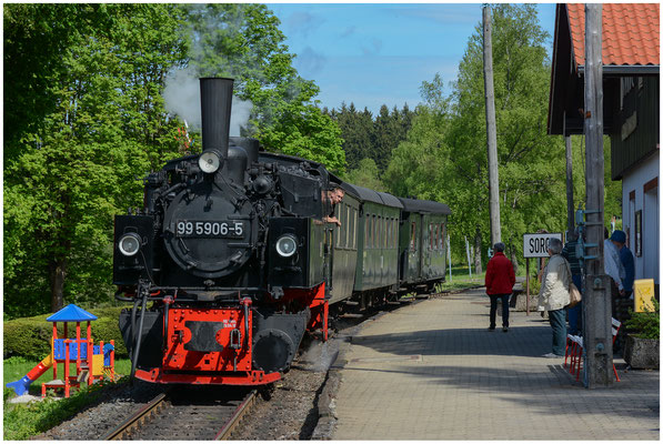 Harzer Schmalspurbahnen HSB (Wernigerode, Deutschland/Germany) - 03.06.2013