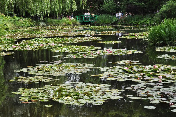 Garten des Malers Claude  Monet in Giverny