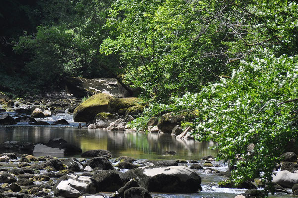 Gorge de l'Areuse, de Noiraigue à Boudry