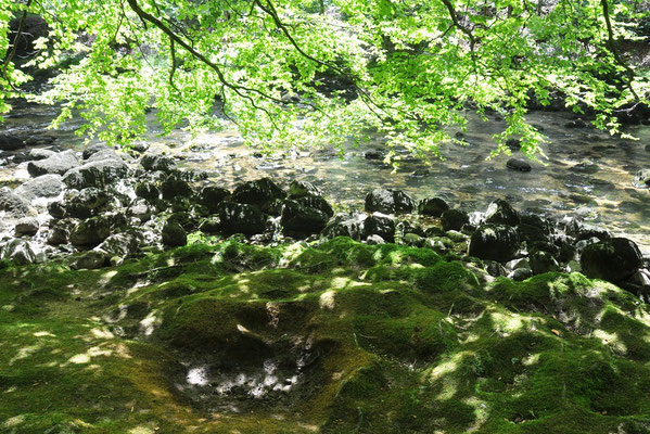 Gorge de l'Areuse, de Noiraigue à Boudry