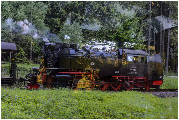 Harzer Schmalspurbahnen HSB (Wernigerode, Deutschland/Germany) - Spiegelung - 06.06.2013