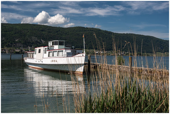 MS Jura - 04.06.2021 - Erlach, Bielersee/Lac de Bienne