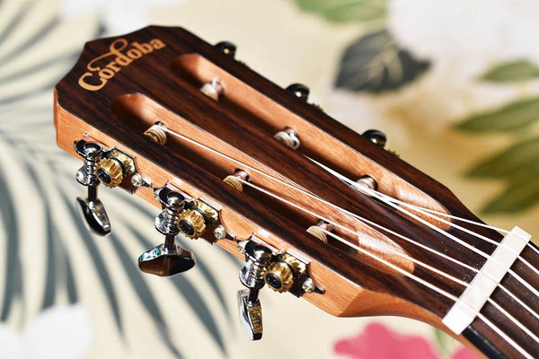 NEW/Cordoba Guilele CE - 1518856009 ページ! NEW/Cordoba Guilele CE - 1518856009 ページ!