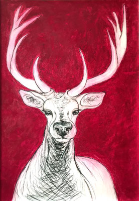 Deer Pink . 100 x 70 cm . Pastel & Charcoal on Paper