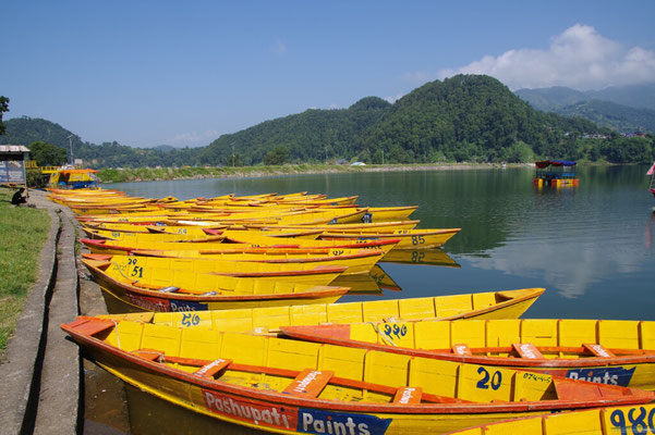 Gelbe Boote auf dem Begnas Lake