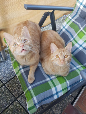 Die 2 Sonnenanbeter