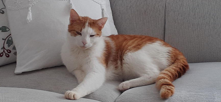 Stanley