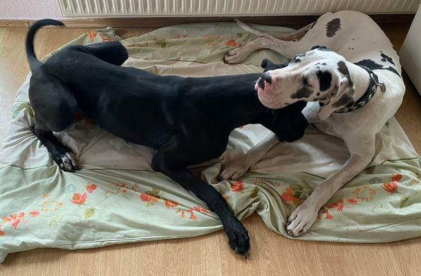 Mia schon am ersten Tag in Love mit ihrer neuen Mitbewohnerin 