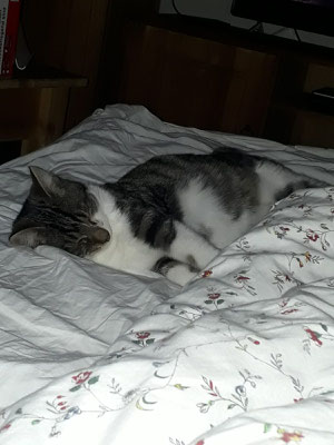 Der schüchterne Thor hat sich toll entwickelt und liebt das gemeinsame Kuscheln. 
