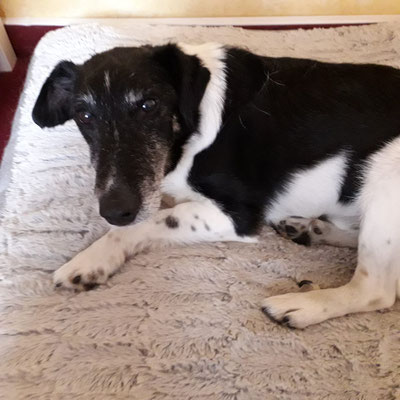 Senior Benny
