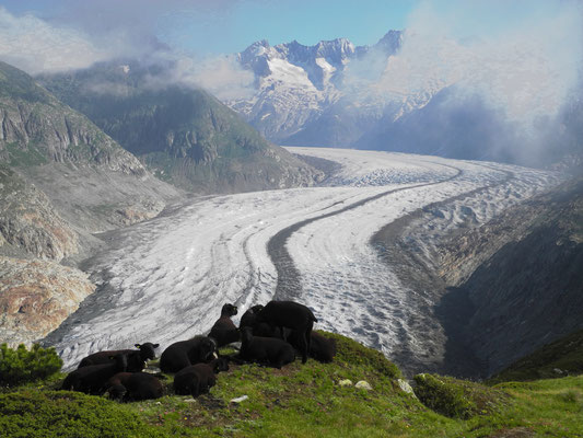 Gletscherwanderung Wallis