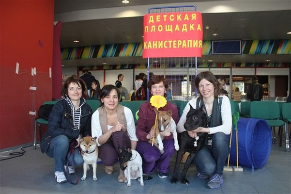 канис-терапия, канистерапия, анималотерапия, собаки для жизни, собака-помощник, собака-терапевт, той-фокстерьер, той-фокстерьер питомник, той-фокстерьер купить
