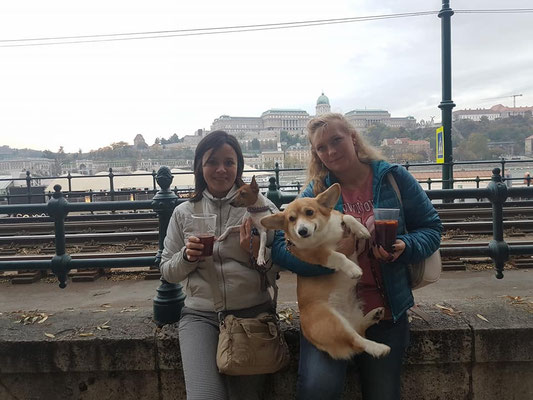 Поездка на выставки в Венгрию