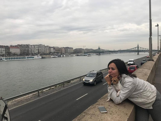 Поездка на выставки в Венгрию