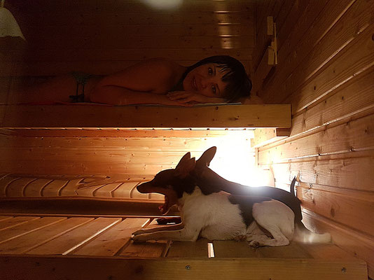 #тойфокстерьер #амертой #террабалтика #toyfoxterrier #terrabaltika #puppies #kennel