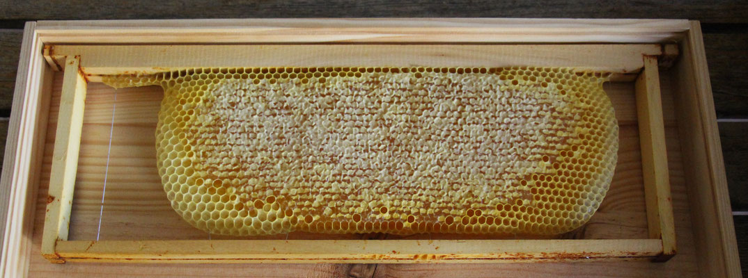 Cadre de miel de hausse