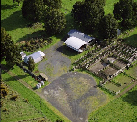 Oromahoe Trust Stockyards