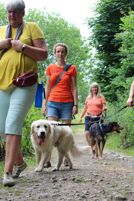 Wildlinge Hundetraining Social Walk
