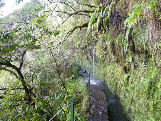 Levada do caldeirao verde