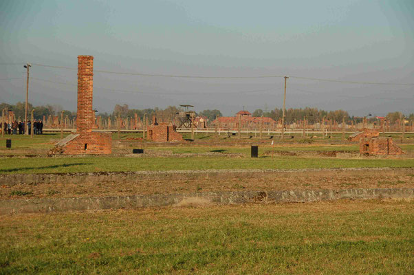 Birkenau