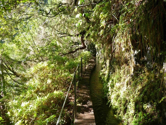 Levada do caldeirao verde